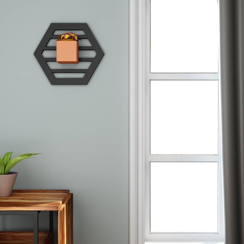 Hexagon Wall Hung Structure (Planter)