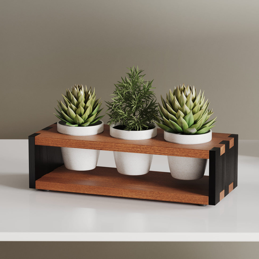 Jack Desktop Planter