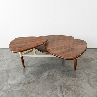 Leef Coffee Table 2