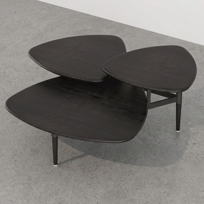 Leef Coffee Table 2