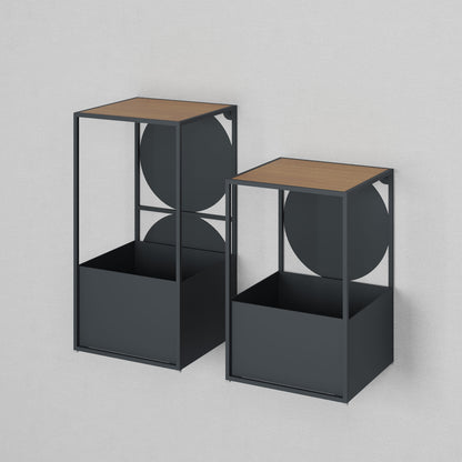 Cactas Planter
