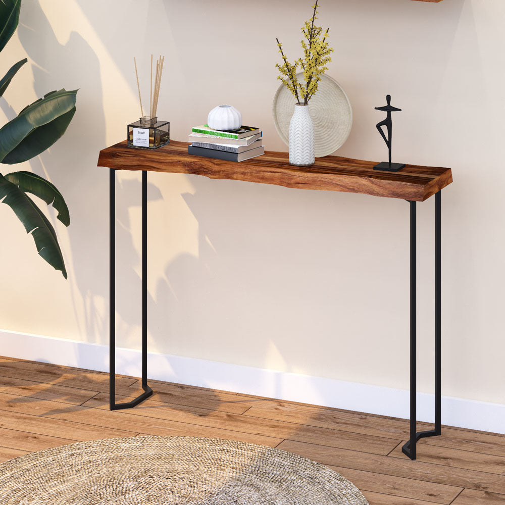 Darwin Console B