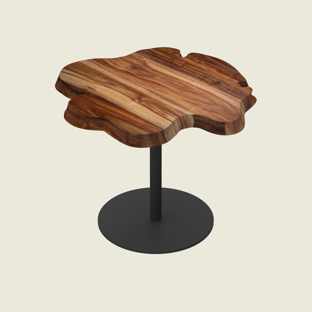 Darwin End Table B