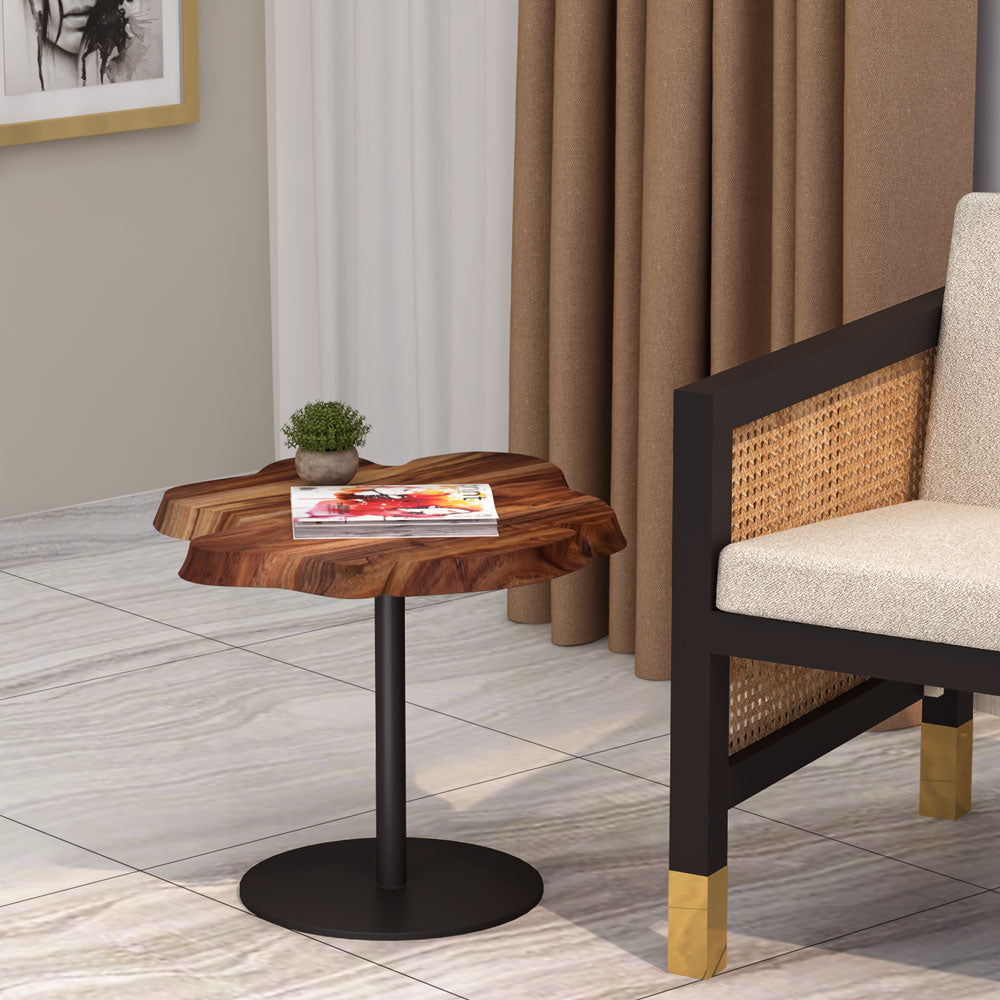 Darwin End Table B