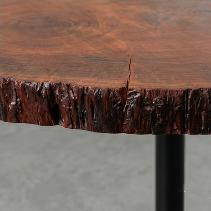 Darwin End Table B