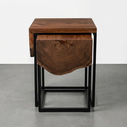 Darwin Nesting Table