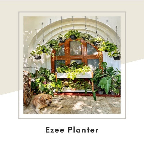 Ezee Planter