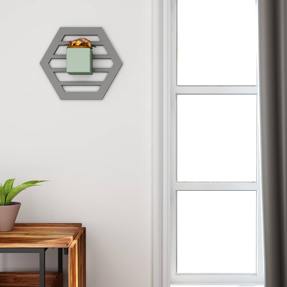 Hexagon Wall Hung Structure (Planter)
