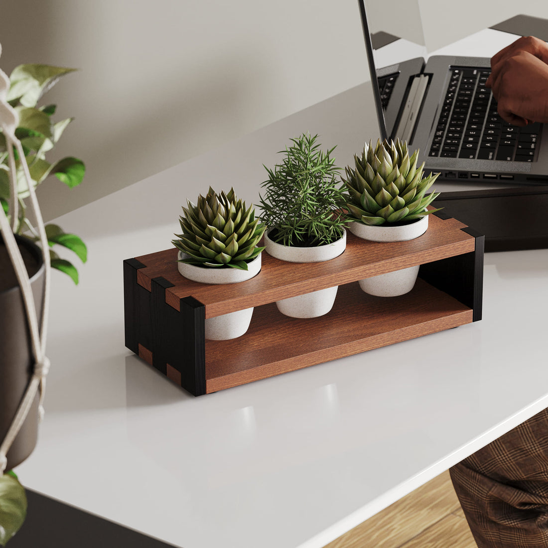 Jack Desktop Planter
