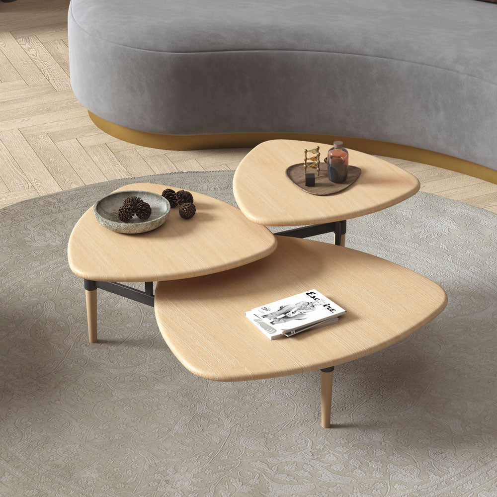 Leef Coffee Table 2