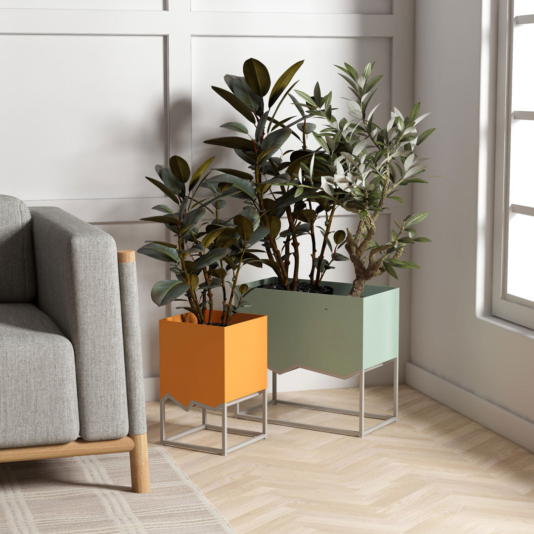Monstera Planters