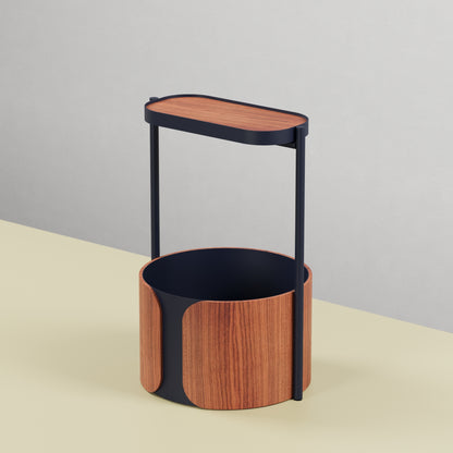 Pothos Planter