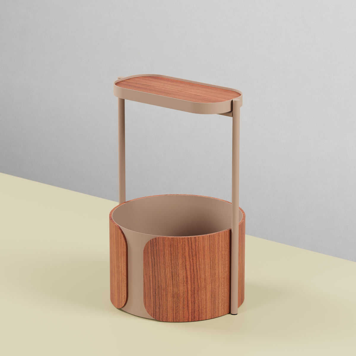 Pothos Planter