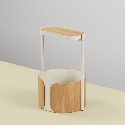 Pothos Planter
