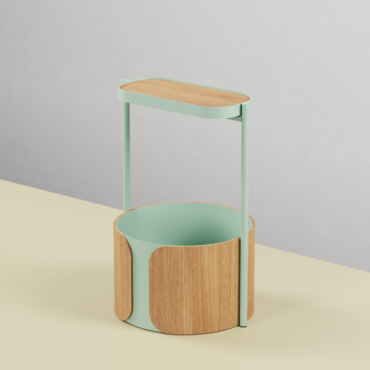 Pothos Planter