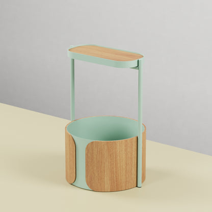 Pothos Planter