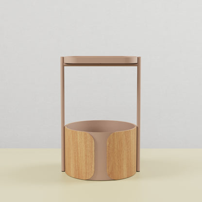 Pothos Planter