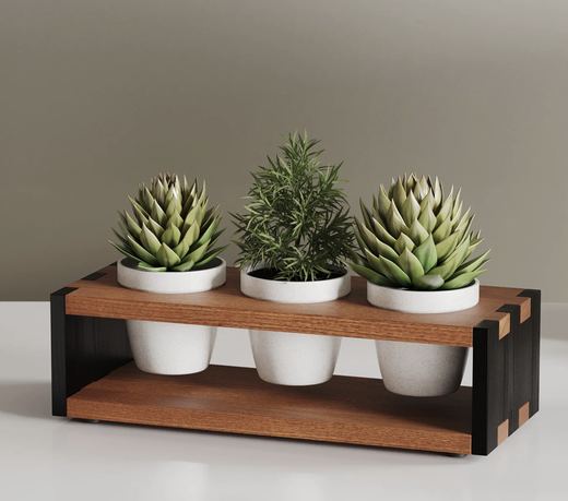 Jack Desktop Planter