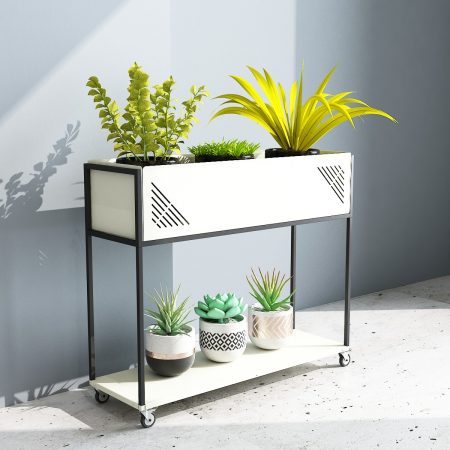 new styel indoor plant idea